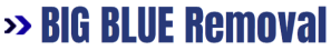 BIG BLUE Removal